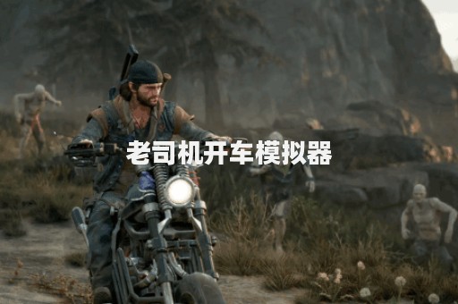 老司机开车模拟器