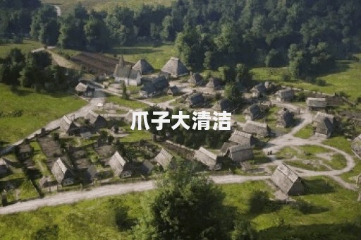 爪子大清洁