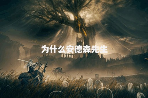 为什么安德森先生