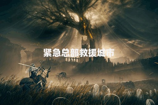紧急总部救援城市