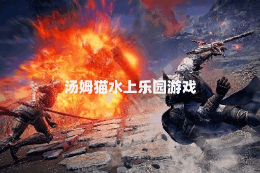 汤姆猫水上乐园游戏