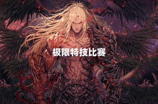 极限特技比赛