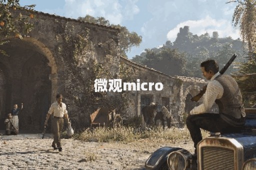 微观micro