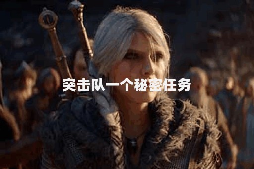 突击队一个秘密任务