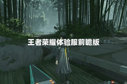 王者荣耀体验服前瞻版