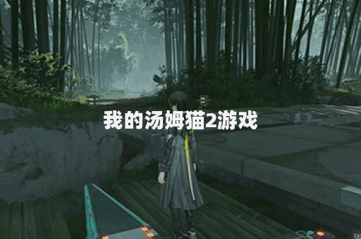 我的汤姆猫2游戏