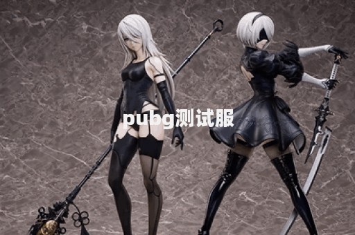 pubg测试服