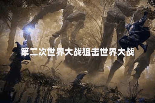 第二次世界大战狙击世界大战
