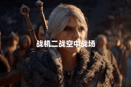 战机二战空中战场