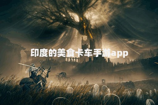 印度的美食卡车手游app