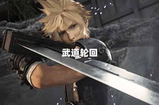 武道轮回