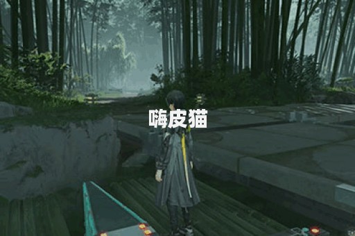 嗨皮猫