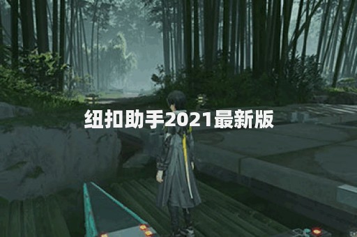 纽扣助手2021最新版