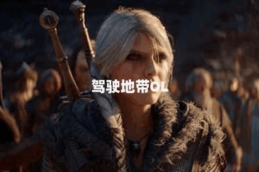 驾驶地带OL