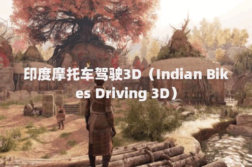 印度摩托车驾驶3D（Indian Bikes Driving 3D）