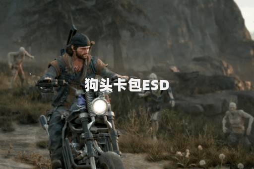 狗头卡包ESD