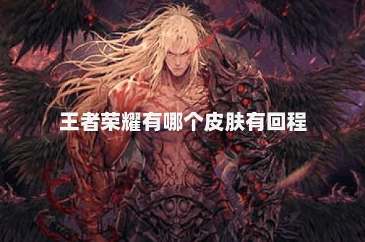 王者荣耀有哪个皮肤有回程