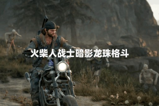 火柴人战士暗影龙珠格斗