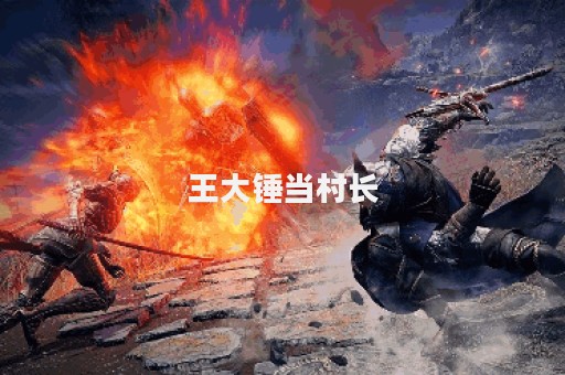 王大锤当村长
