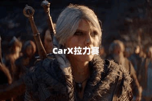 CarX拉力赛