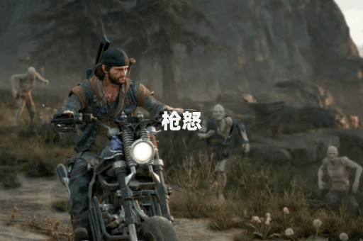 枪怒