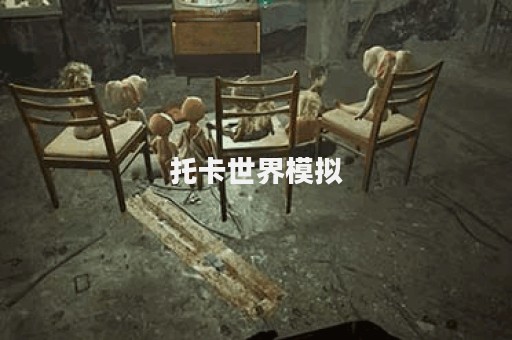 托卡世界模拟