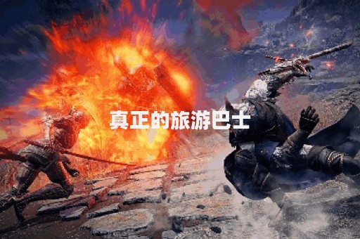 真正的旅游巴士