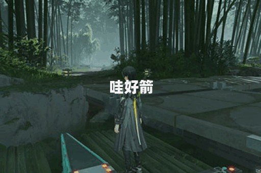 哇好箭