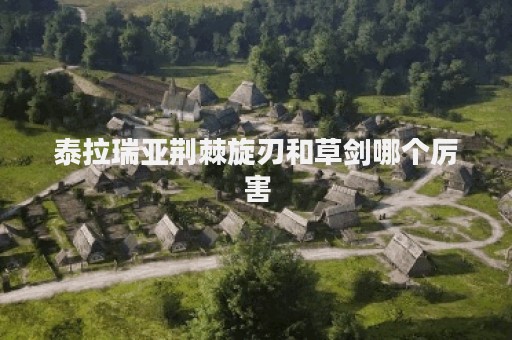 泰拉瑞亚荆棘旋刃和草剑哪个厉害