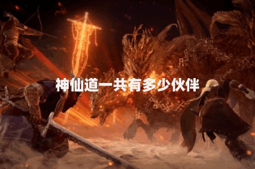 神仙道一共有多少伙伴