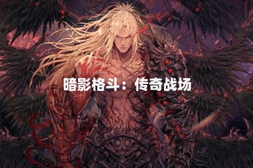暗影格斗：传奇战场