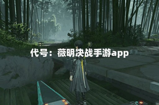 代号：薇明决战手游app