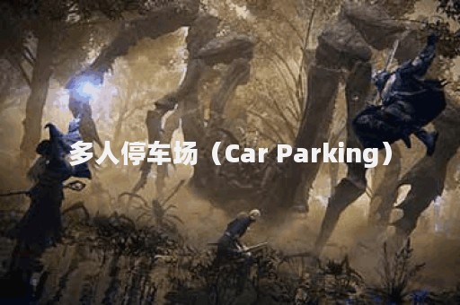 多人停车场（Car Parking）