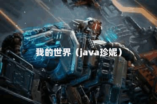 我的世界（java珍妮）