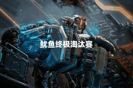 鱿鱼终极淘汰赛