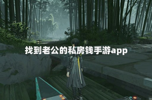 找到老公的私房钱手游app