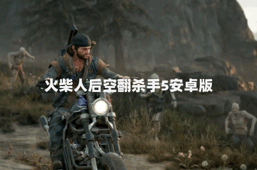 火柴人后空翻杀手5安卓版 火柴人后空翻杀手5安卓版