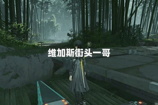 维加斯街头一哥