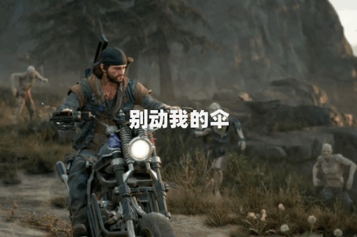 别动我的伞