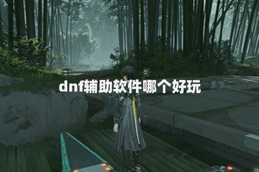 dnf辅助软件哪个好玩