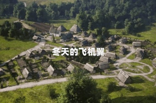 冬天的飞机翼
