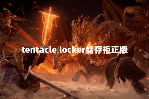 tentacle locker储存柜正版
