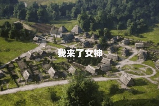 我来了女神