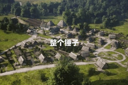 整个锤子