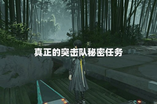 真正的突击队秘密任务