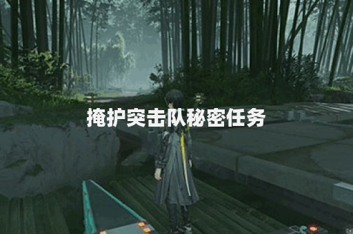 掩护突击队秘密任务