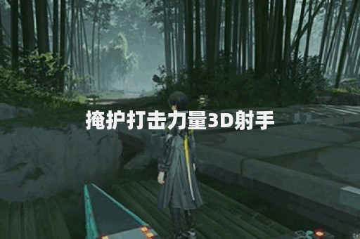 掩护打击力量3D射手