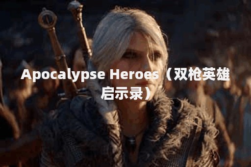 Apocalypse Heroes（双枪英雄启示录）