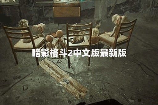 暗影格斗2中文版最新版