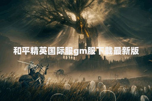 和平精英国际服gm服下载最新版